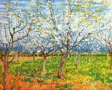 Vincent Van Gogh Orchard in Blossom